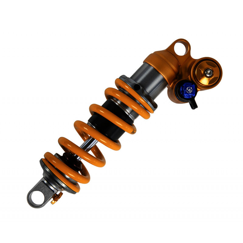 Öhlins TTX Ressort Révision Particulier