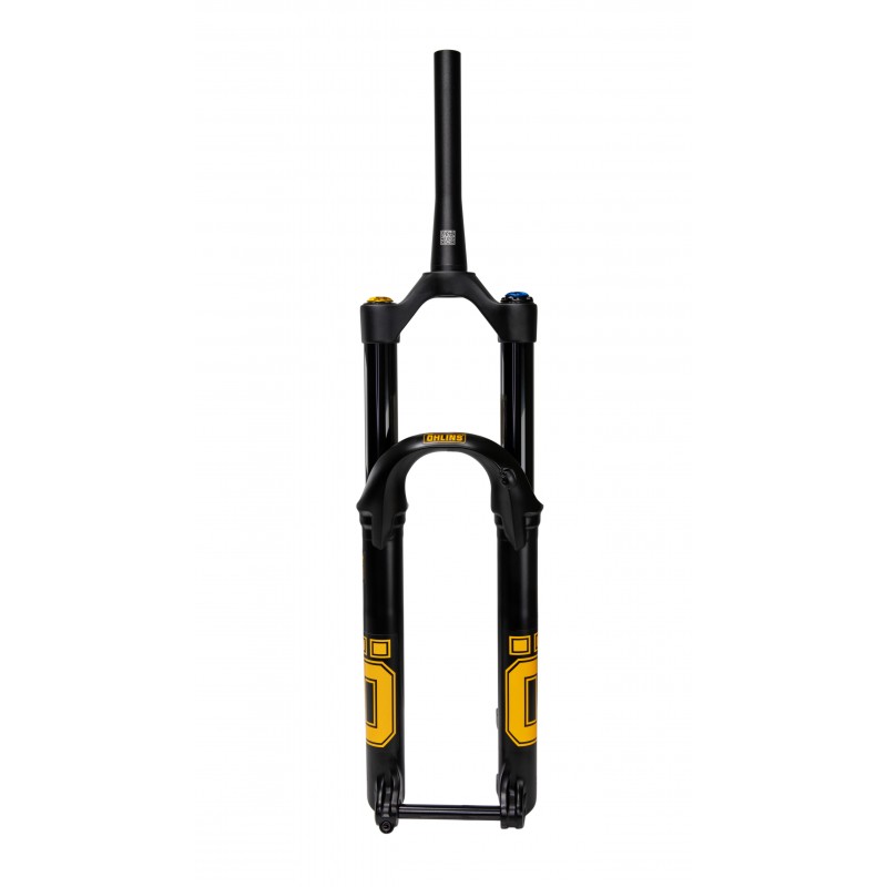 Öhlins 36 Révision Particulier